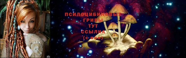 ешки Новокубанск