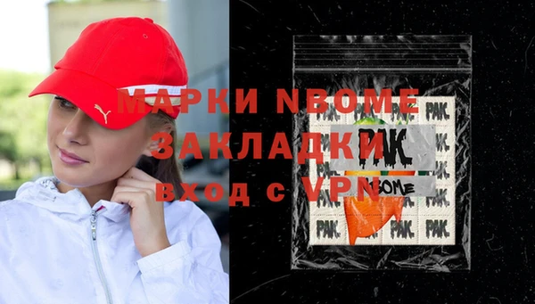 стаф Новодвинск