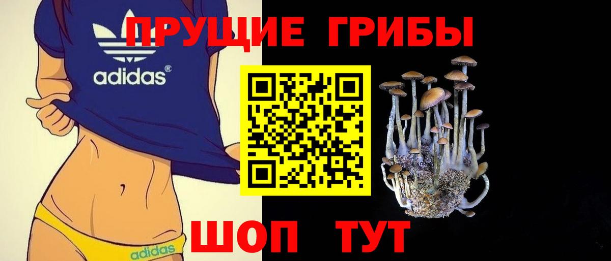 Галлюциногенные грибы GOLDEN TEACHER Алейск